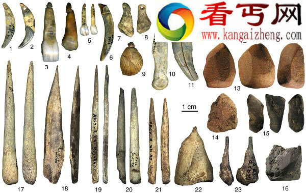 法国出土尼安德特人残骸