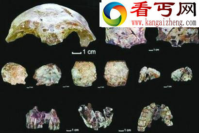 老挝一个山洞里发现最古老的现代人化石(组图)