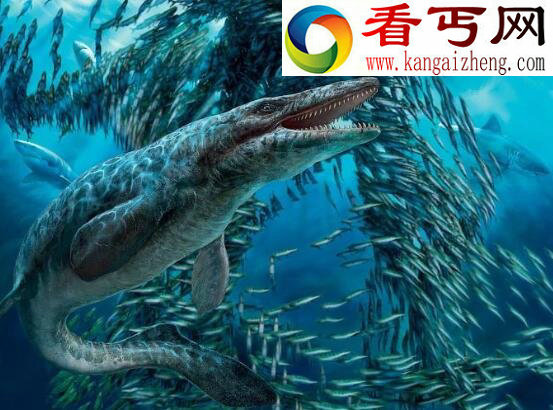 海洋史上最大的掠食动物，沧龙体长21米生吞鲨鱼