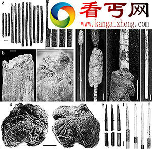 考古发现44000年前人类就开始用毒药