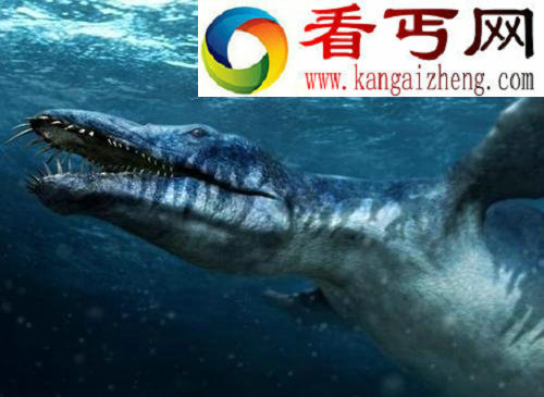 令人着迷的恐龙霸王龙是顶级捕食者