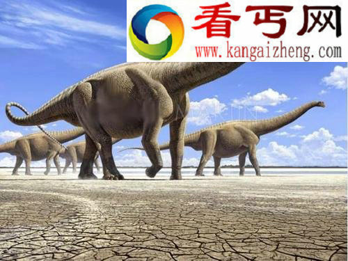 令人着迷的恐龙霸王龙是顶级捕食者