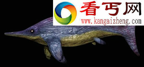 新鱼龙化石改变人类对其进化和灭绝认识(图)