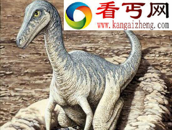 (图)专家通过化石发现远古北极存在“短寿恐龙”
