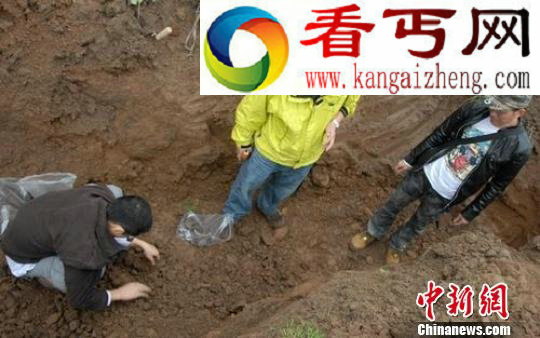 四川洪雅发现商周时期遗址——王华遗址