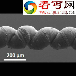 科学家研发人造肌肉 能提起自身重量的10万倍