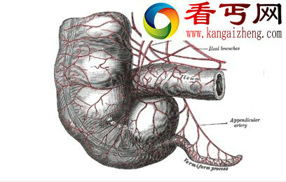 揭开人类已经退化十大生理特征