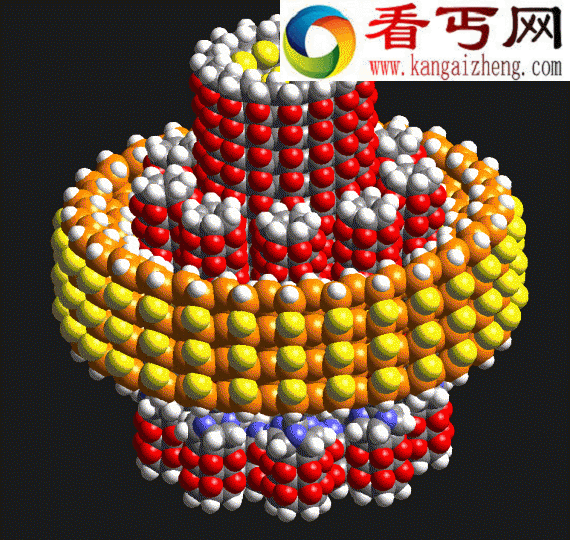 科学家谈一千年之后未来世界的变化