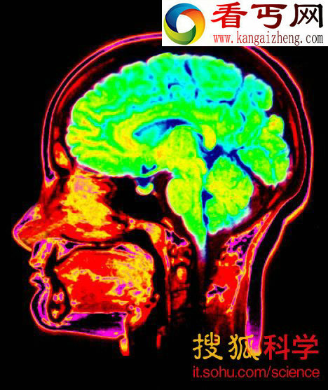 人脑存在神奇的计时器 可判断年龄