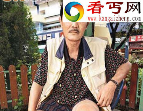 叶问的儿子是谁，一代宗师叶问竟然有两个妻子