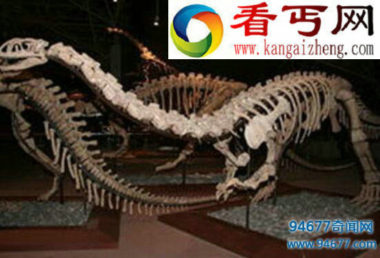 盘点关于恐龙的资料，史上最全不看后悔！