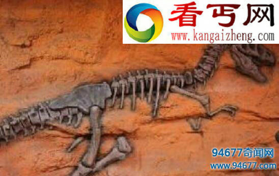 盘点关于恐龙的资料，史上最全不看后悔！