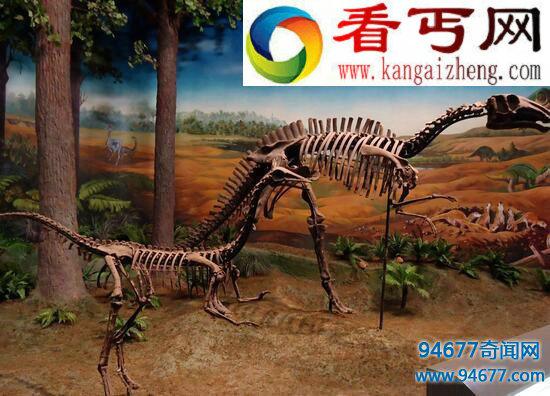 盘点关于恐龙的资料，史上最全不看后悔！