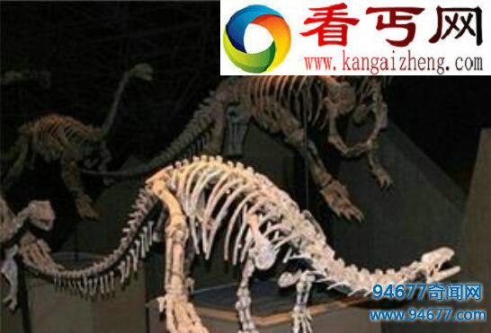 盘点关于恐龙的资料，史上最全不看后悔！