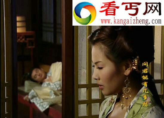 花蕊夫人是谁,花蕊夫人的简介
