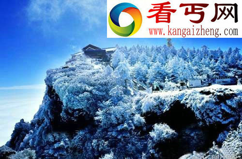 中国佛教的四大名山 分别住着谁